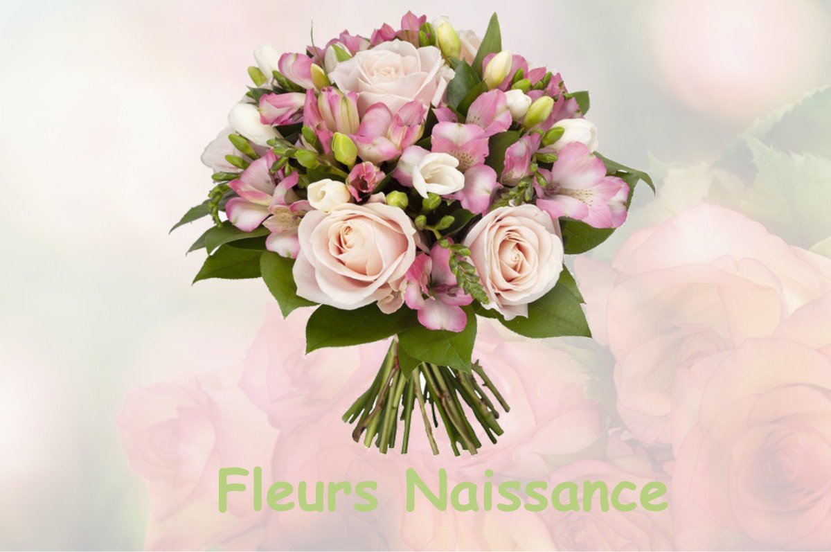 fleurs naissance VAUDREUILLE