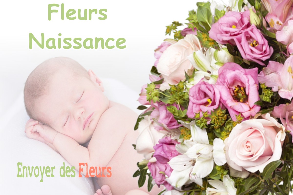 lIVRAISON FLEURS NAISSANCE à VAUDREUILLE